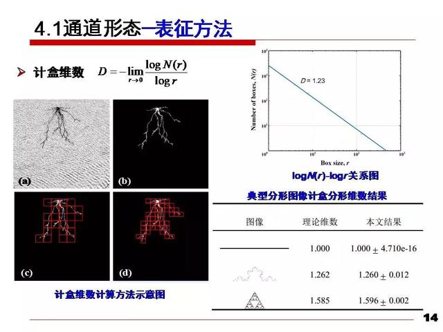 華北電力大學黃猛：納米變壓器油中的流注發展速度和通道形態研究