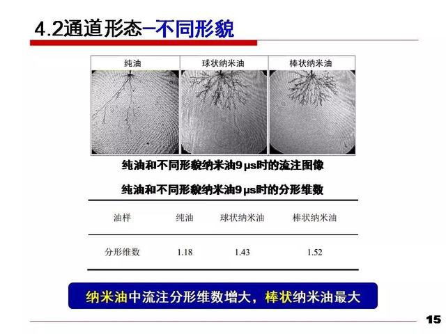 華北電力大學黃猛：納米變壓器油中的流注發展速度和通道形態研究