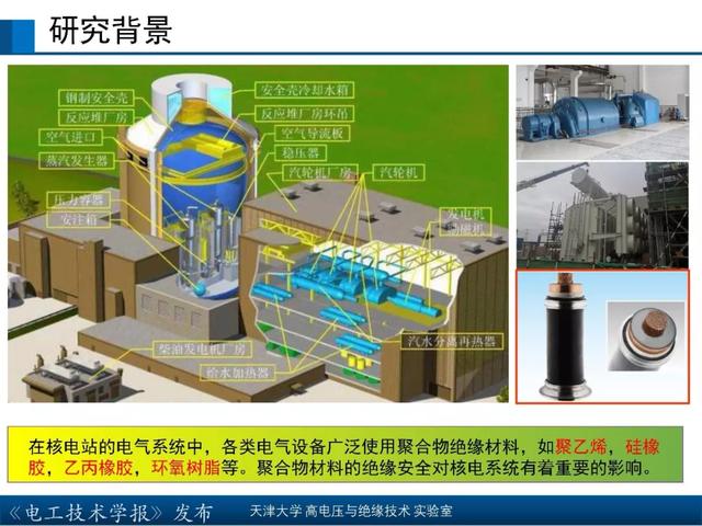 天津大學高宇副教授：核輻射環境下聚合物絕緣材料的研究新成果