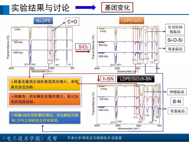 天津大學高宇副教授：核輻射環境下聚合物絕緣材料的研究新成果