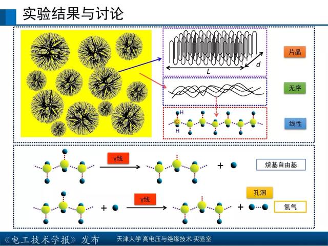 天津大學高宇副教授：核輻射環境下聚合物絕緣材料的研究新成果