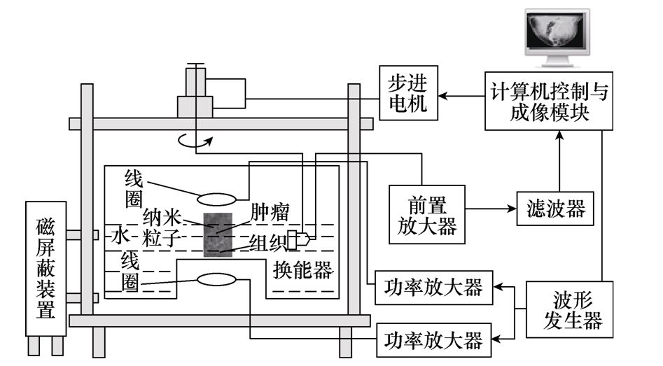 學術簡報︱一種磁動力超聲成像的新方法，可顯著提高癌癥檢測能力