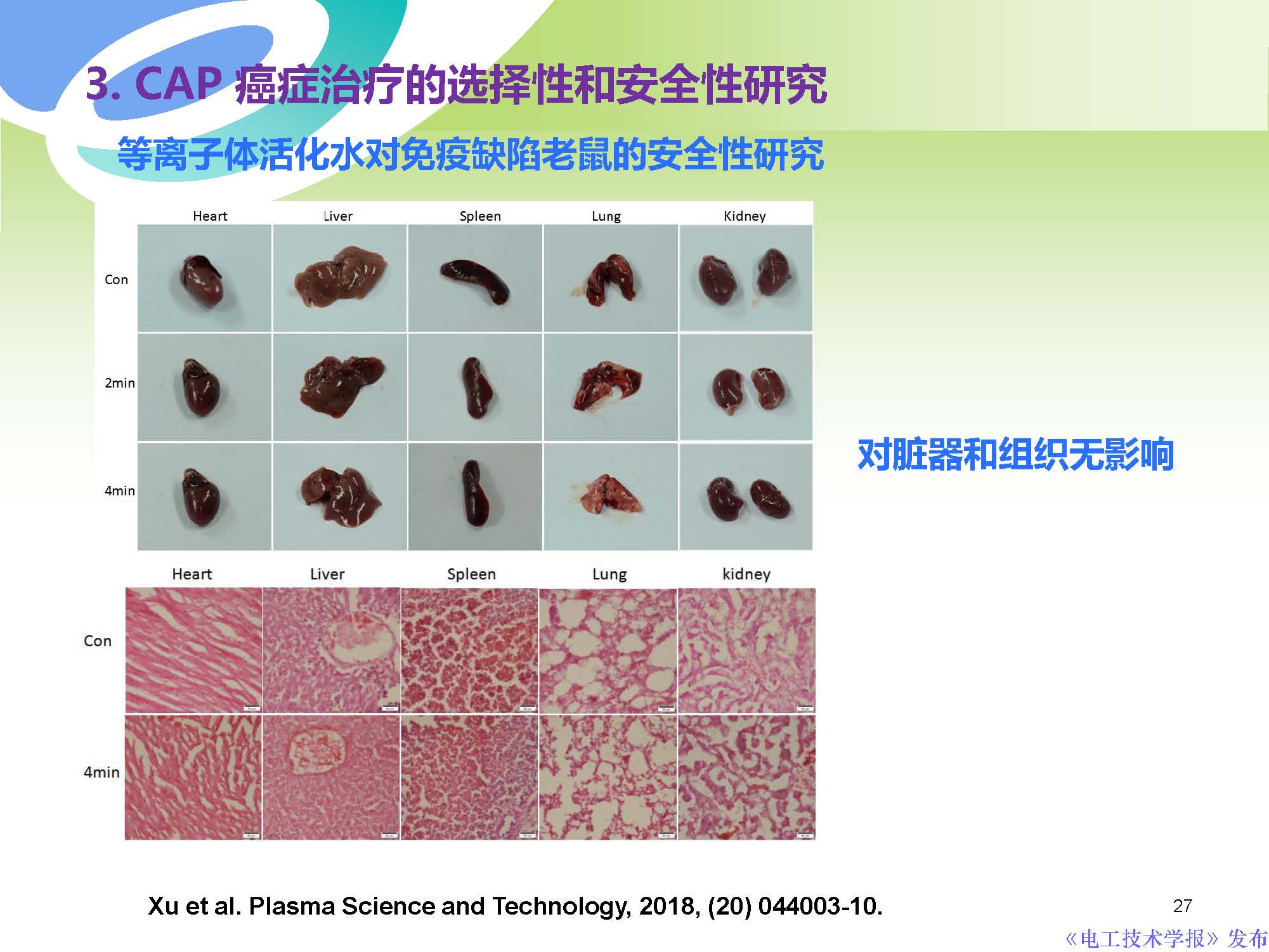 西安交通大學許德暉副教授：等離子體技術治療癌癥的最新研究進展