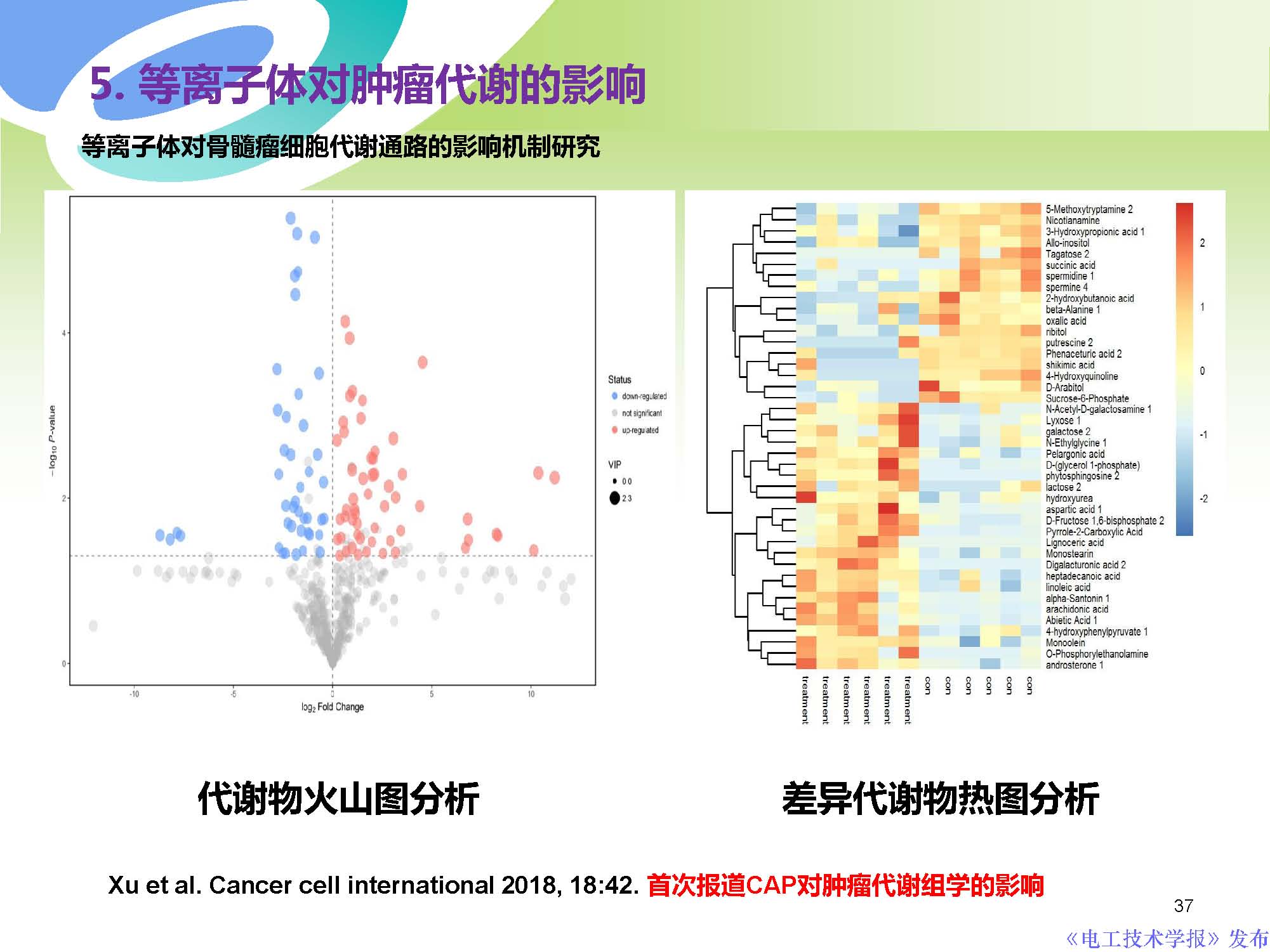 西安交通大學許德暉副教授：等離子體技術治療癌癥的最新研究進展