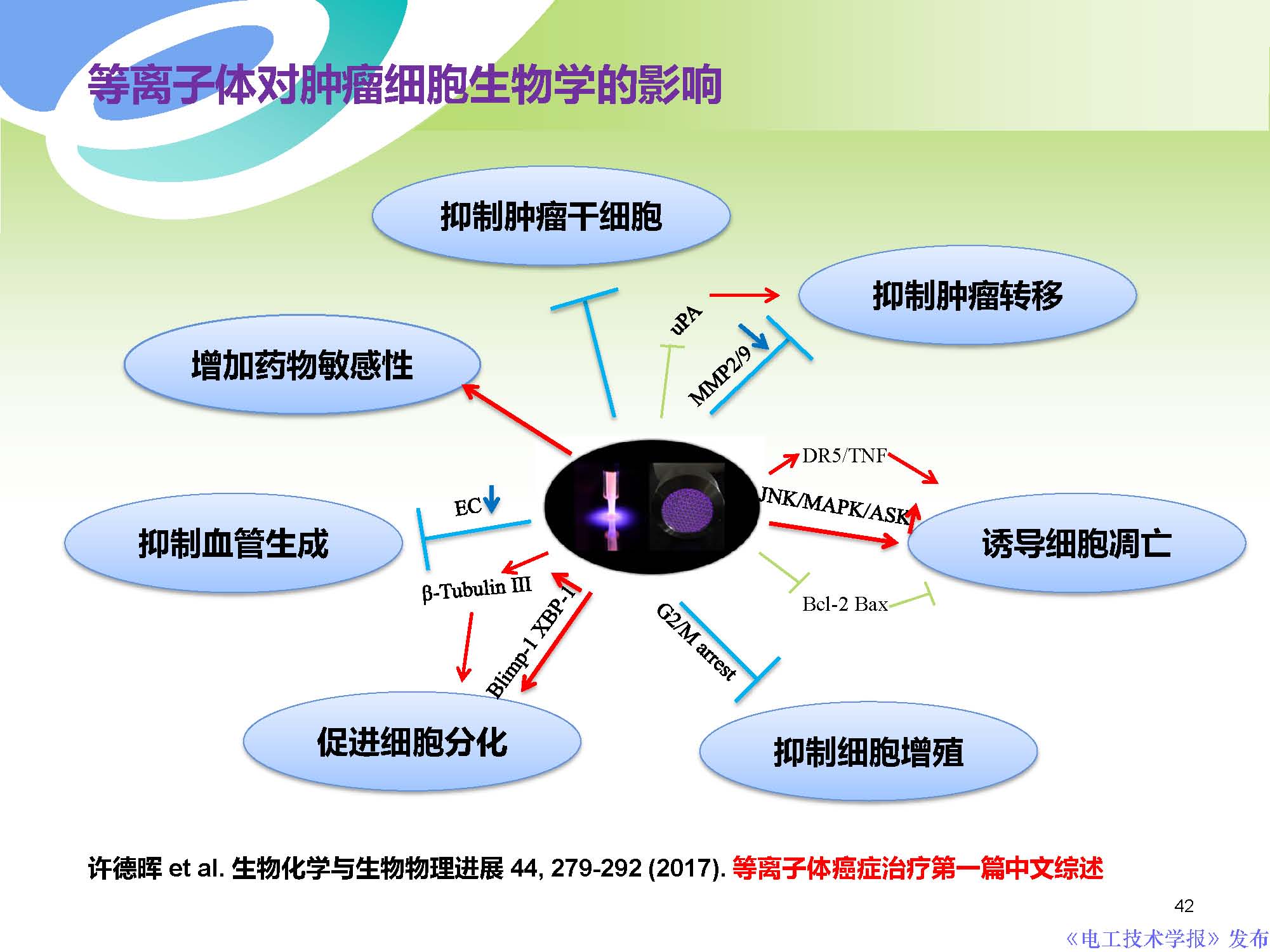 西安交通大學許德暉副教授：等離子體技術治療癌癥的最新研究進展