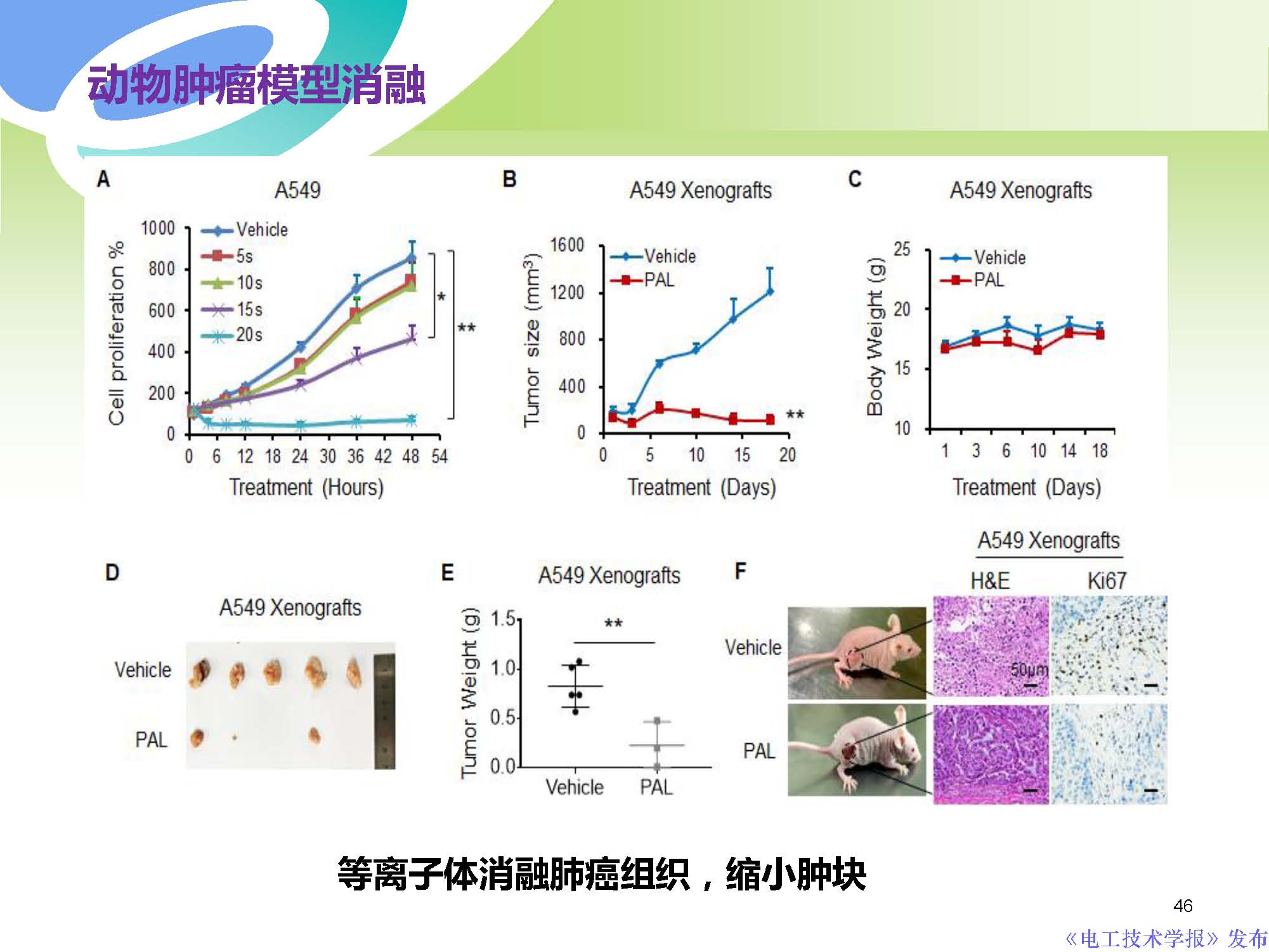 西安交通大學許德暉副教授：等離子體技術治療癌癥的最新研究進展