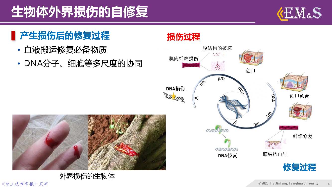 清華大學何金良教授：智能絕緣材料