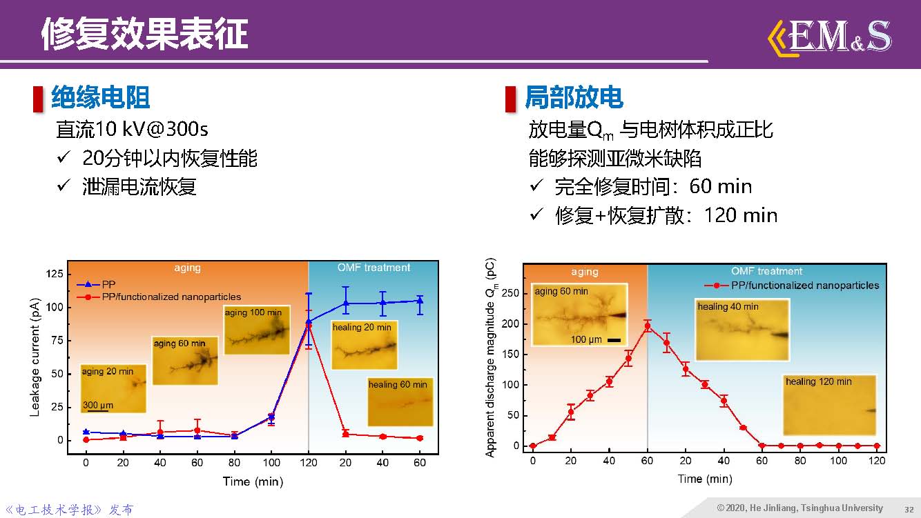 清華大學何金良教授：智能絕緣材料