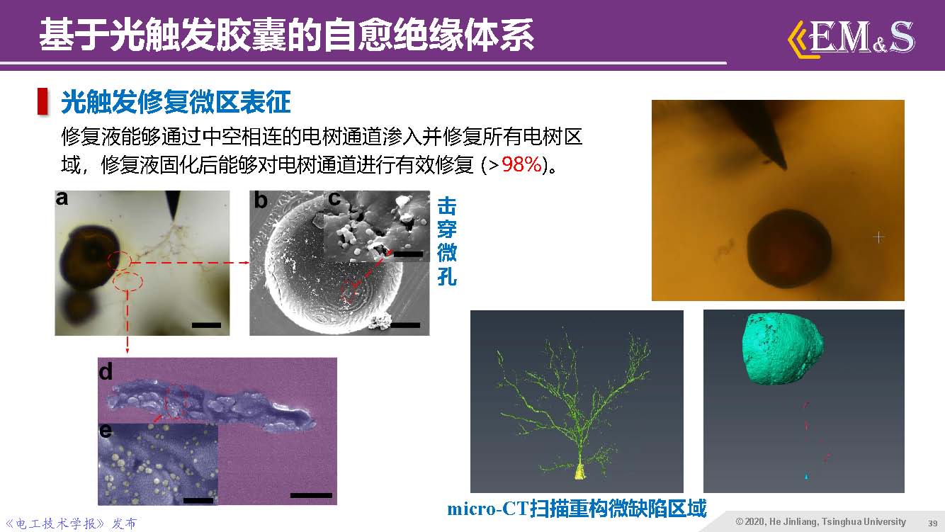 清華大學何金良教授：智能絕緣材料